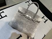 Hermes Birkin Lizard Skin 30 - 1