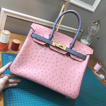 Hermes Ostrich Pink Size 25
