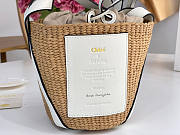 Chloe Small Basket Size 17 x 16 x 16 cm - 2