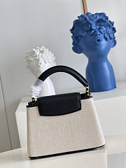 Louis Vuitton Capucines Mini 02 Size 21 x 14 x 8 cm - 4