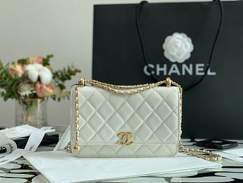 Chanel Woc White Size 21 cm