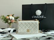 Chanel Woc White Size 21 cm - 4