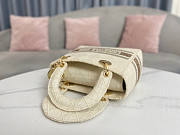 Dior Lady D-Lite Bag 02 Size 24 x 20 x 11 cm - 3