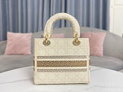 Dior Lady D-Lite Bag 02 Size 24 x 20 x 11 cm - 5