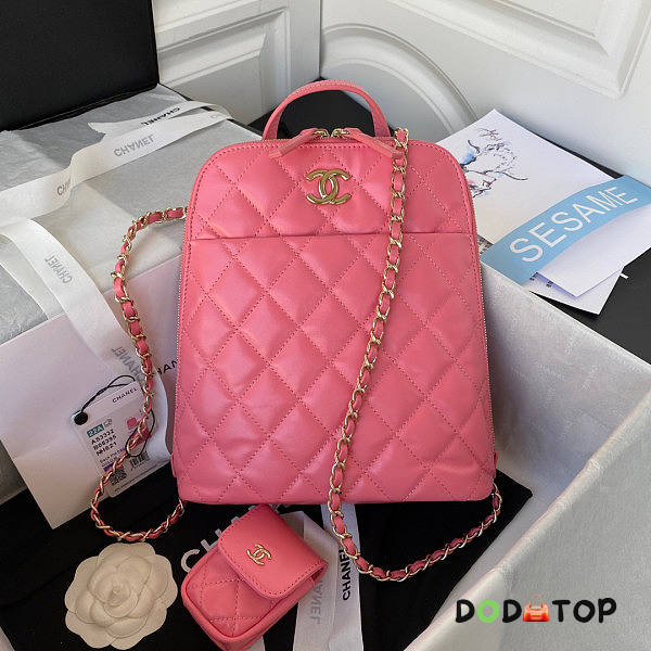 Chanel Backpack Pink Size 21 x 23 x 8 cm - 1