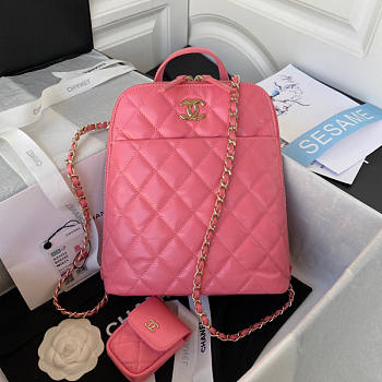 Chanel Backpack Pink Size 21 x 23 x 8 cm