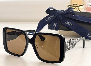 Dior Glasses 04