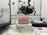 Chanel Cl Clutch With Chain Pink Size 11.5 x 14.5 x 5.5 cm - 1