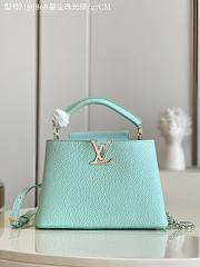 Louis Vuitton LV Capucines BB 01 Size 27 x 18 x 9 cm - 6