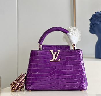 Louis Vuitton LV Capucines BB 02 Size 27 x 18 x 9 cm