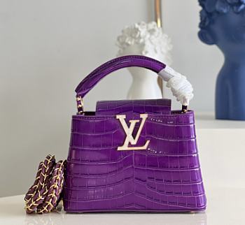 Louis Vuitton Capucines Mini 06 Size 21 x 14 x 8 cm