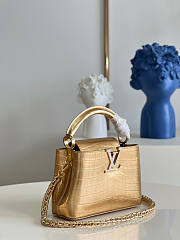 Louis Vuitton Capucines Mini 07 Size 21 x 14 x 8 cm - 6
