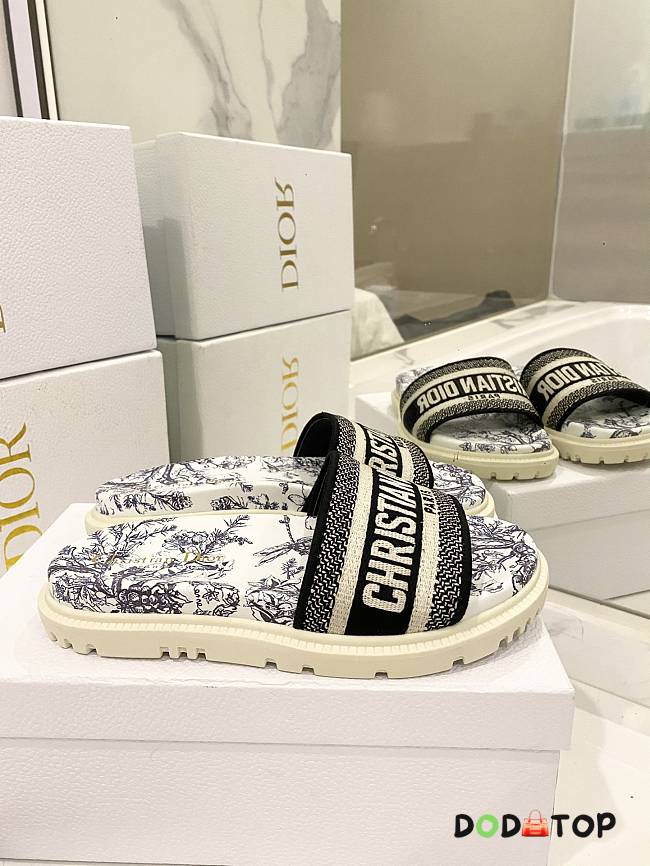 Dior Slippers 17 - 1