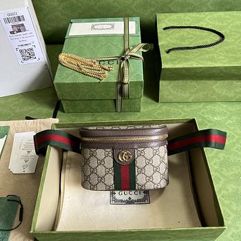 Gucci Ophidia Belt Bag With Web 699765 Size 18 x 12 x 6 cm