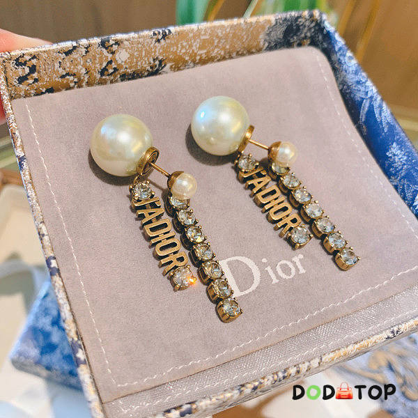 Dior Earrings 03 - 1