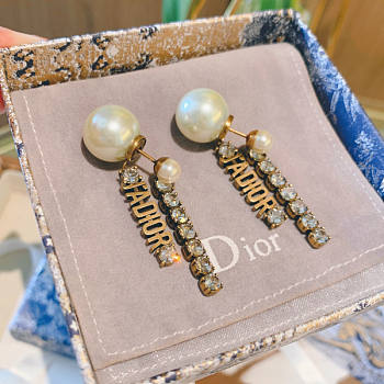 Dior Earrings 03