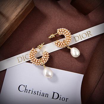 Dior Earrings 04