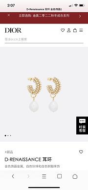 Dior Earrings 04 - 5