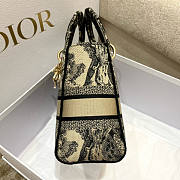 Dior Lady D-Lite Bag 05 Size 24 x 20 x 11 cm - 5