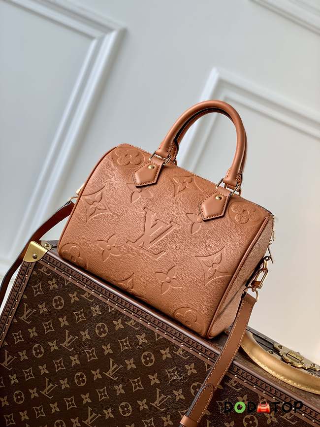 Louis Vuitton LV Speedy Bandoulière 25 Handbag  - 1