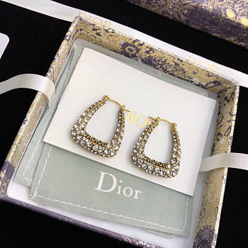 Dior Earrings 05