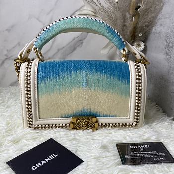 Chanel Boy Chain Flap Bag Pearl Fish Skin Size 25 × 16 × 9 cm