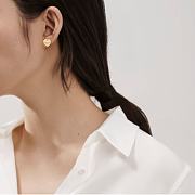 Tiffany & Co Earrings  - 2