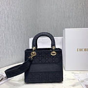Dior Lady D-Lite Embroidered Cannage Bag Size 24 x 20 x 11 cm - 6