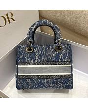 Dior Medium Lady D-Lite Bag 01 Size 24 x 20 x 11 cm - 5