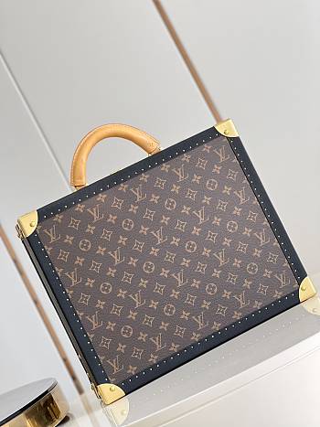 Louis Vuitton LV Bisten Luggage Size 40 x 33 x 15 cm