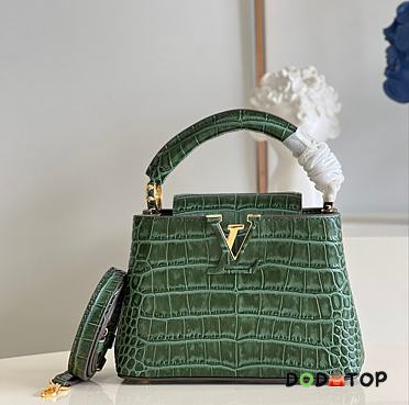 Louis Vuitton Capucines Mini Green Size 21 x 14 x 8 cm - 1