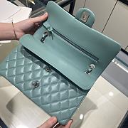 Chanel Flap Bag Lambskin Green Silver Hardware Size 25 cm - 5