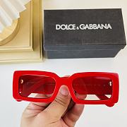 DG Glasses  - 6