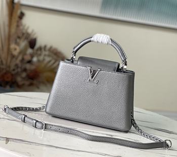 Louis Vuitton LV Capucines BB Handbag Silver Size 27 x 18 x 9 cm