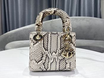 Dior Lady Python Skin Bag Size 17 x 7.5 x 13.5 cm