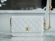 Chanel WOC Gold Coin White Size 19 cm - 1