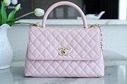 Chanel Coco Handbag Pink Gold Hardware Size 29 cm - 1