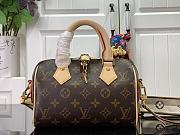 Louis Vuitton Speedy Bandoulière 20 Handbag - 1