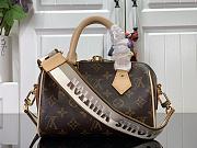 Louis Vuitton Speedy Bandoulière 20 Handbag - 3