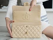 Chanel Lambskin Flap Bag Beige Gold Hardware Size 25 cm - 6