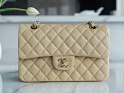 Chanel Lambskin Flap Bag Beige Gold Hardware Size 23 cm - 1
