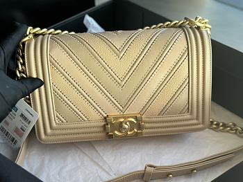Chanel Leboy Cheveron Beige Bag Size 25 cm