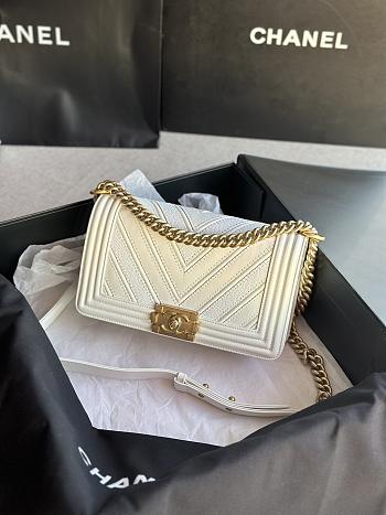 Chanel Leboy Cheveron White Bag Size 25 cm