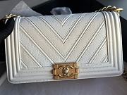 Chanel Leboy Cheveron White Bag Size 25 cm - 2