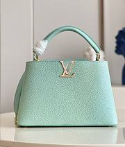 Louis Vuitton Capucines MM 03 Size 31.5 x 20 x 11 cm - 1