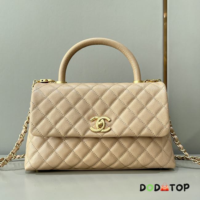 Chanel Coco Handle Bag Beige Gold Hardware Size 29 cm - 1