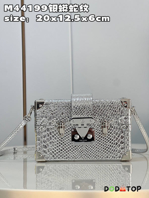 Louis Vuitton Petite Malle Silver Size 20 x 12.5 x 6 cm - 1