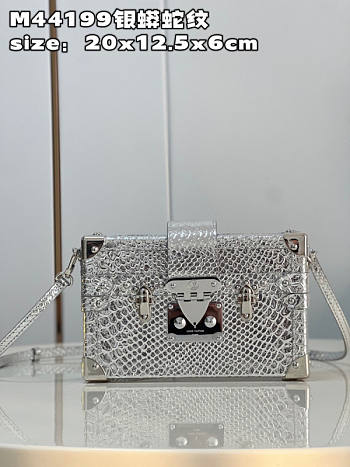 Louis Vuitton Petite Malle Silver Size 20 x 12.5 x 6 cm