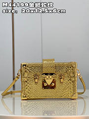 Louis Vuitton Petite Malle Gold Size 20 x 12.5 x 6 cm - 1