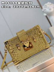 Louis Vuitton Petite Malle Gold Size 20 x 12.5 x 6 cm - 3